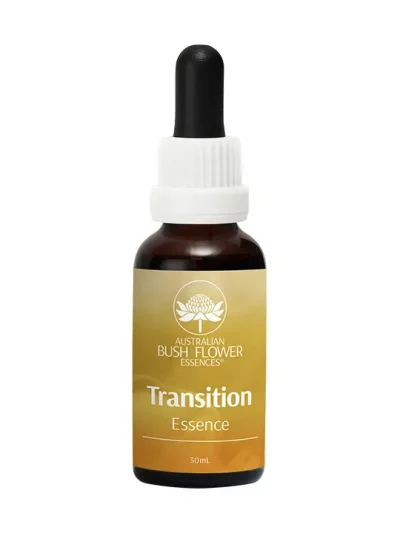 Transition Essence